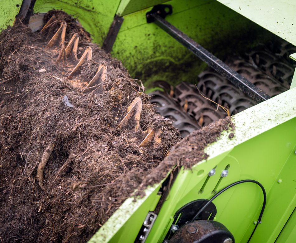 Flex-Star-action-8535