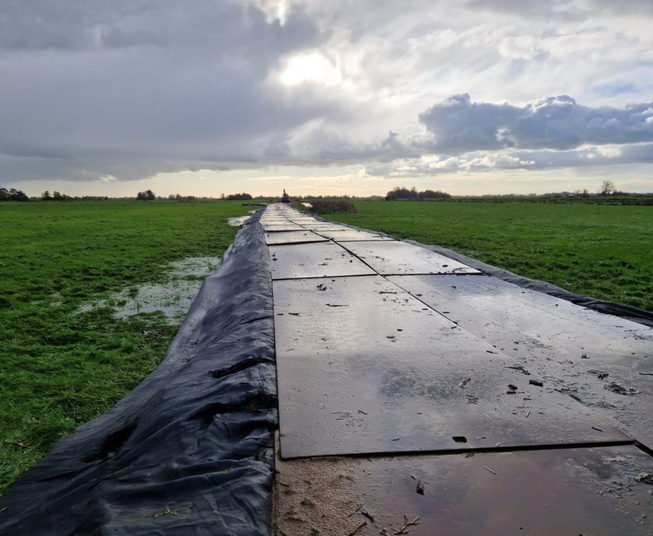 WhatsApp Image 2023-11-11 at 11.40.57 (3)