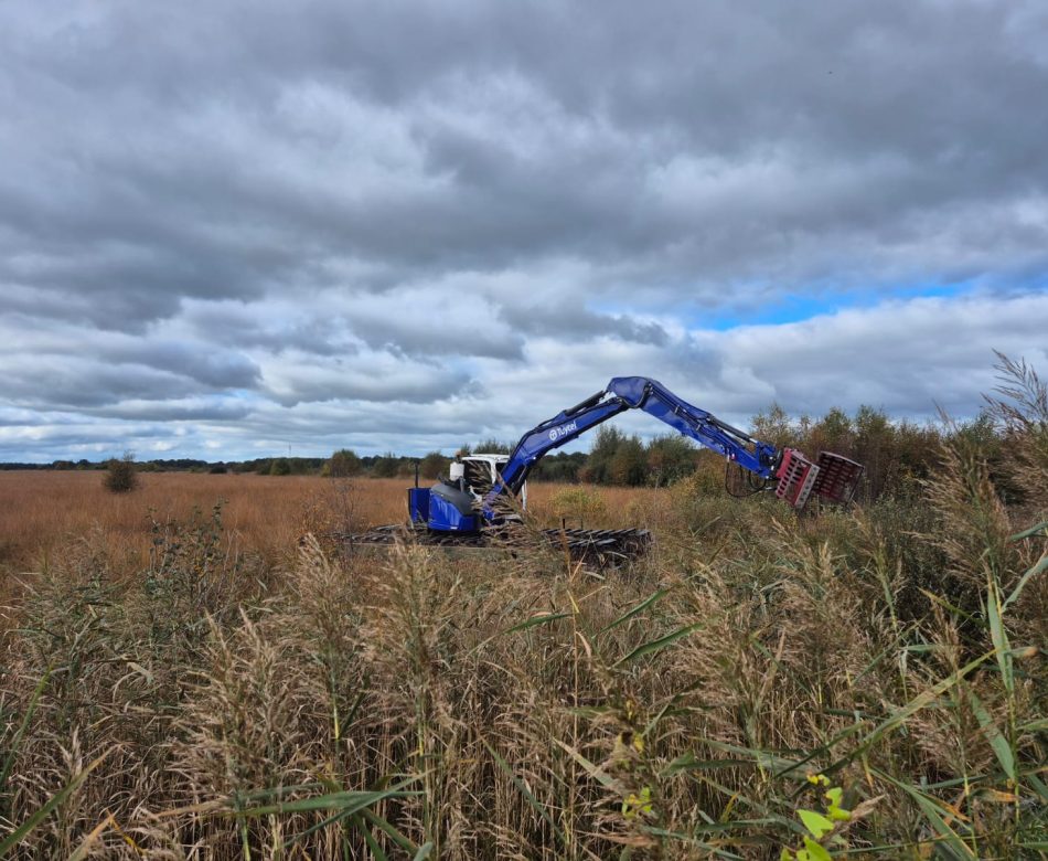 WhatsApp Image 2025-10-13 at 12.02.58