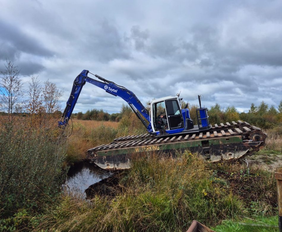 WhatsApp Image 2025-10-13 at 12.03.02